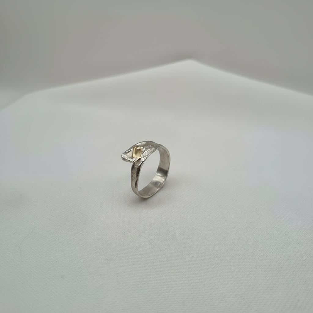 Silfur hringur með 14 kt gulli. No 17